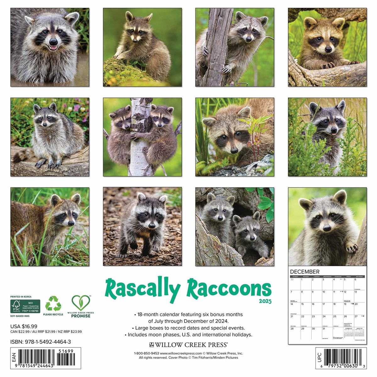 Rascally Raccoons Calendar 2025 inside Getting Squirrelly 2025 Calendar Printable