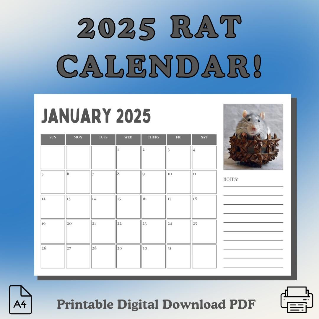 Rat Calendar - Etsy New Zealand within Rats 2025 Calendar Printable