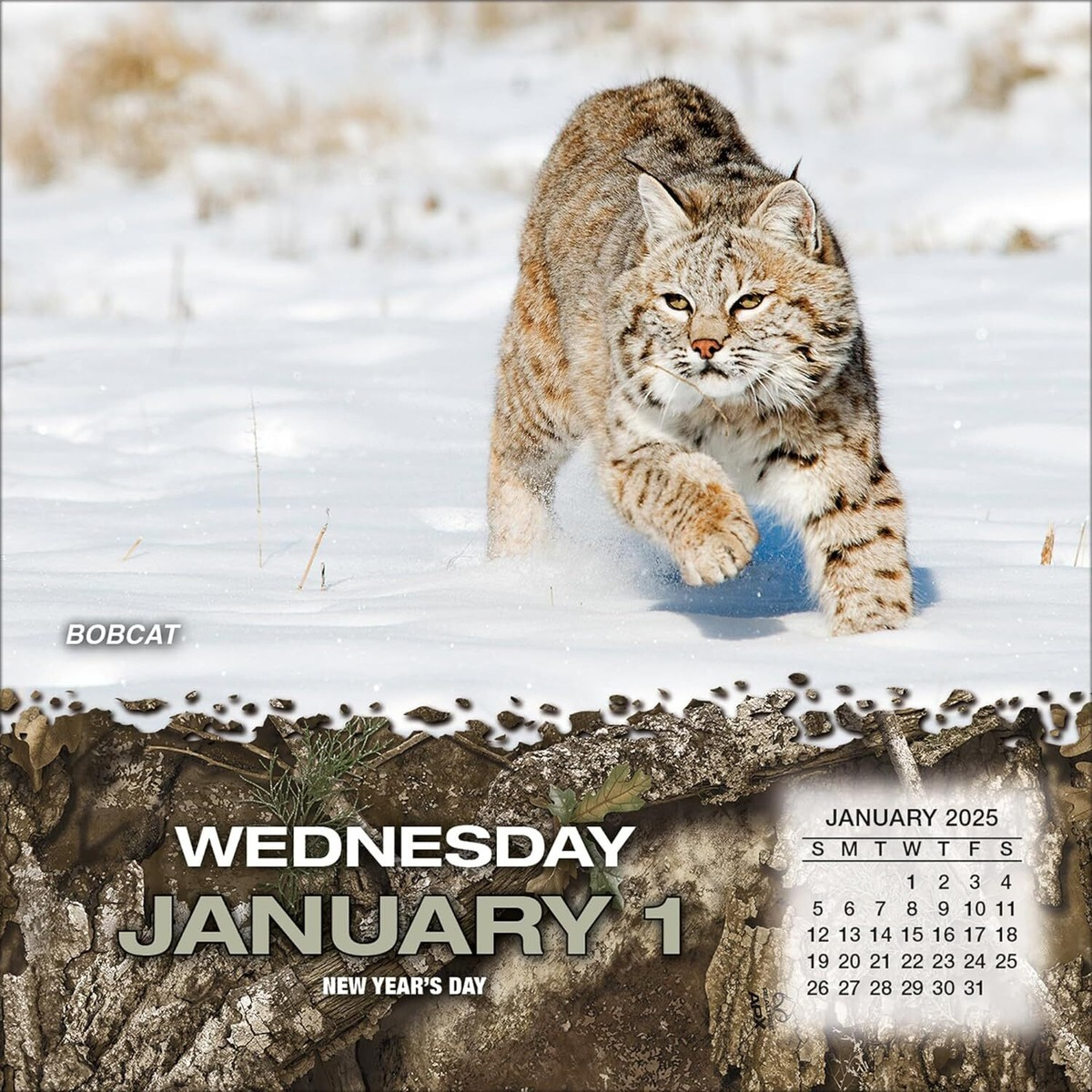 Realtree - Hunted Game - 2025 Daily Desk Calendar - Brand New inside Realtree Hunted Game 2025 Calendar Printable
