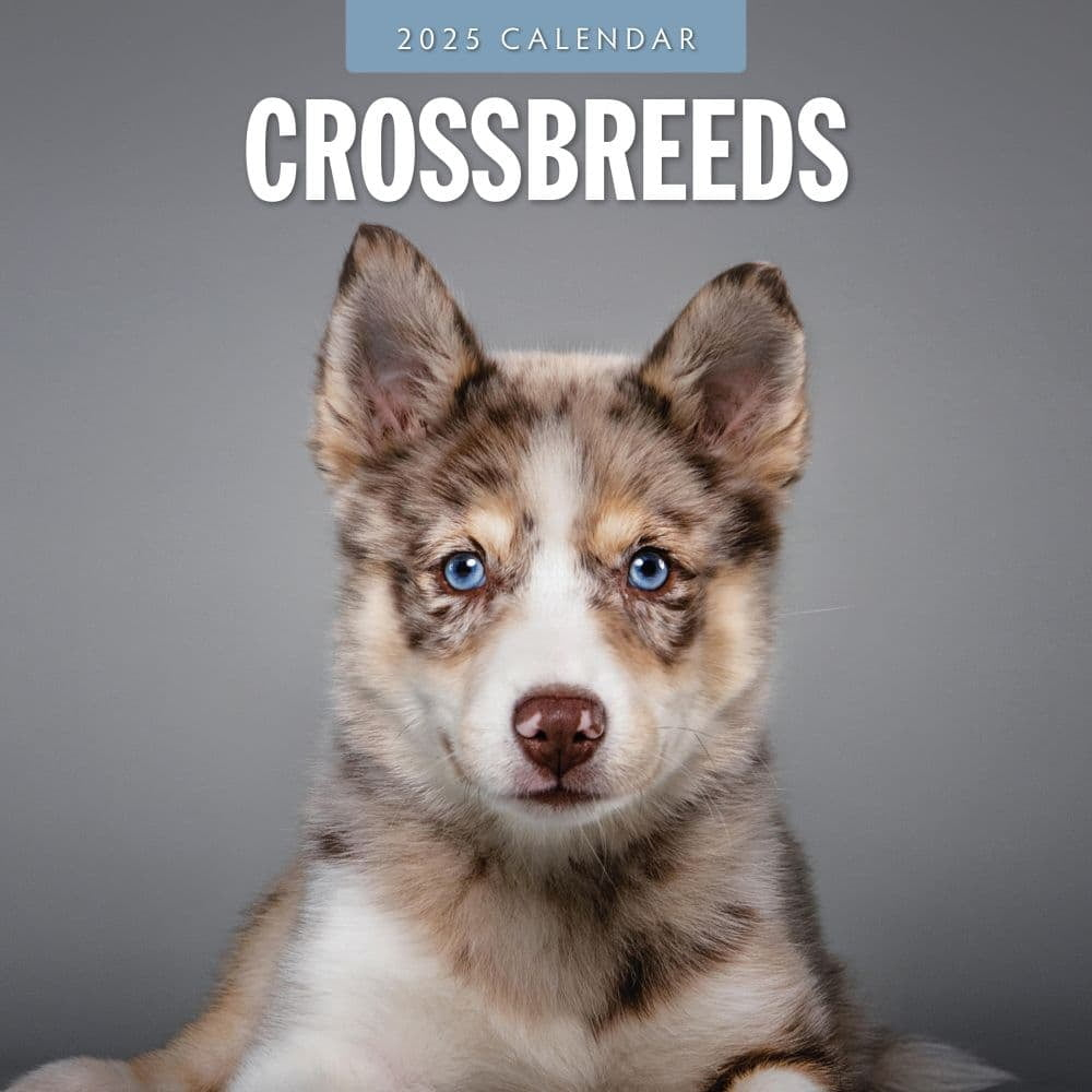 Red Robin Publishing, Crossbreeds 2025 Wall Calendar within Crossbreeds 2025 Calendar Printable