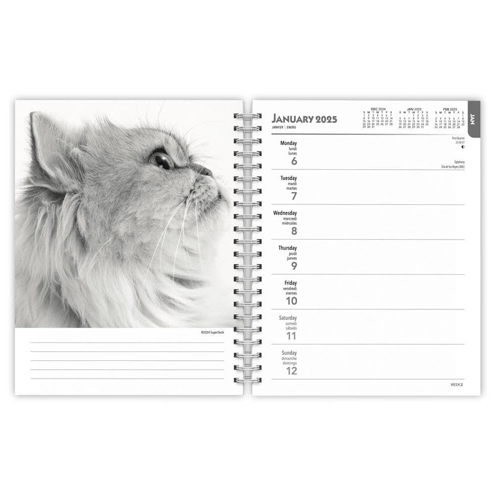 Regal Cats Portrait Series 2025 Planner - Calendars intended for Regal Cats Portrait Series 2025 Calendar Printable