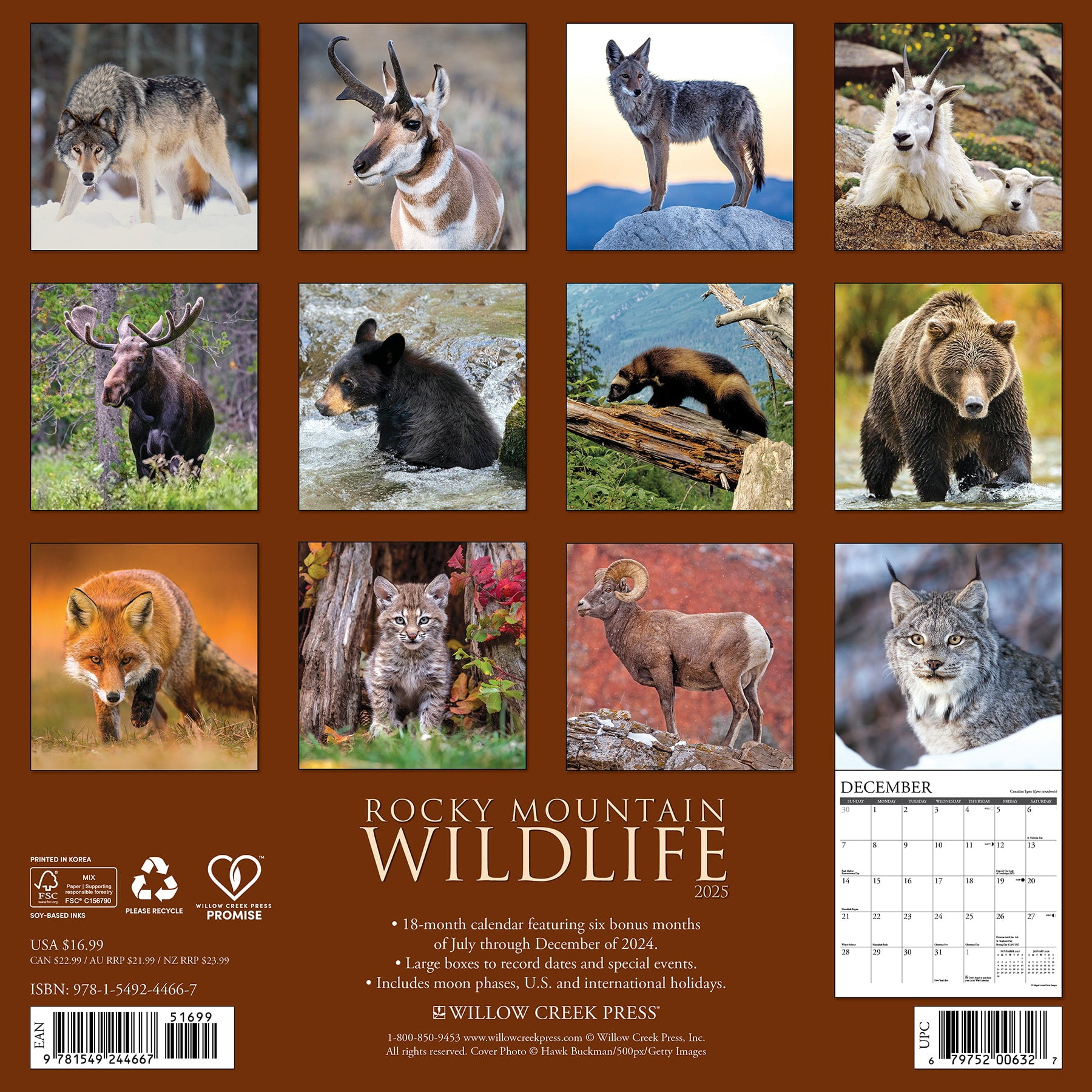 Rocky Mountain Wildlife 2025 Wall Calendar - Walmart throughout Rocky Mountain Wildlife 2025 Calendar Printable