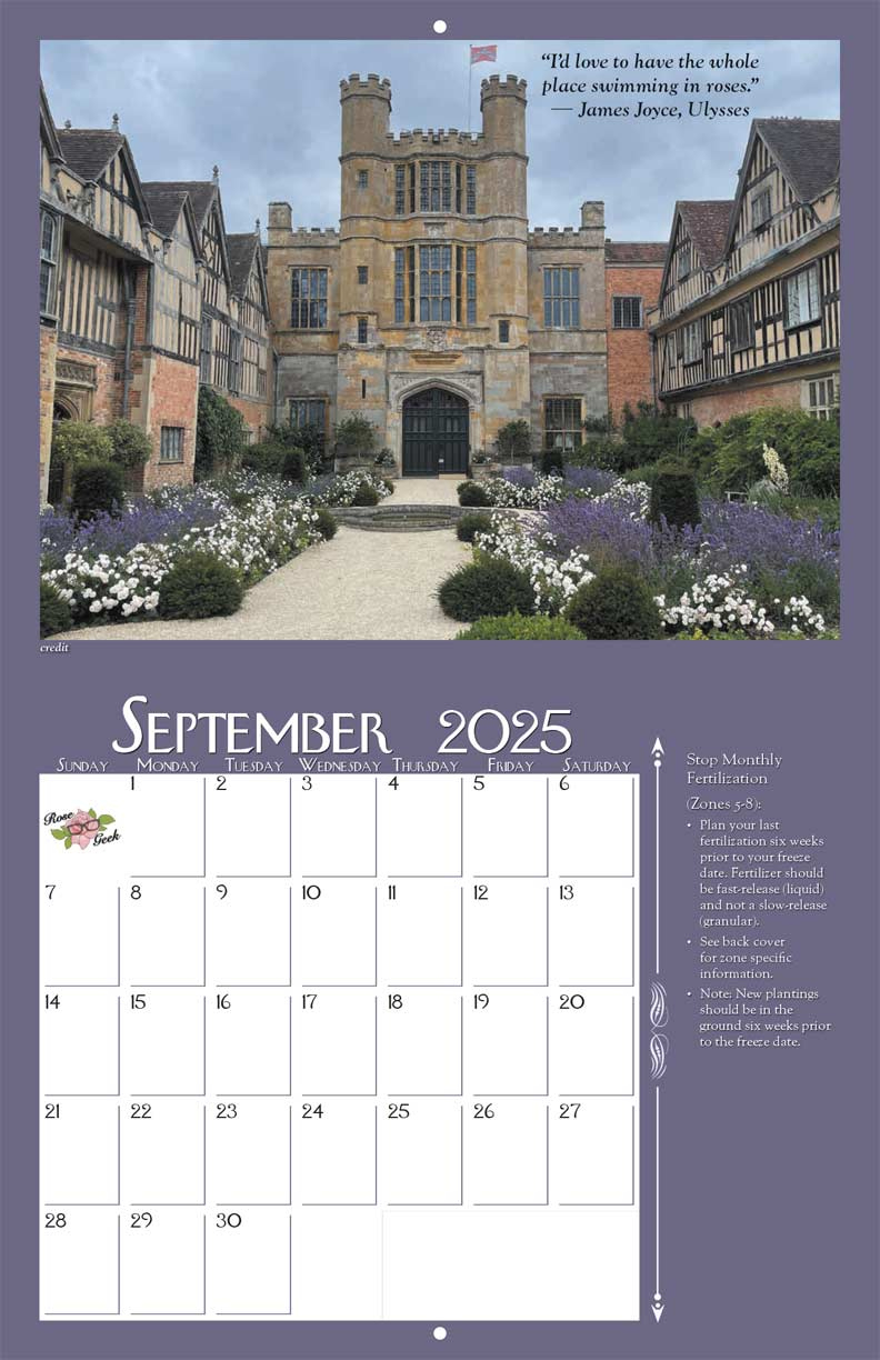 Rose Geek 2025 Calendar - Yearbox Calendars with regard to Castles 2025 Calendar Printable