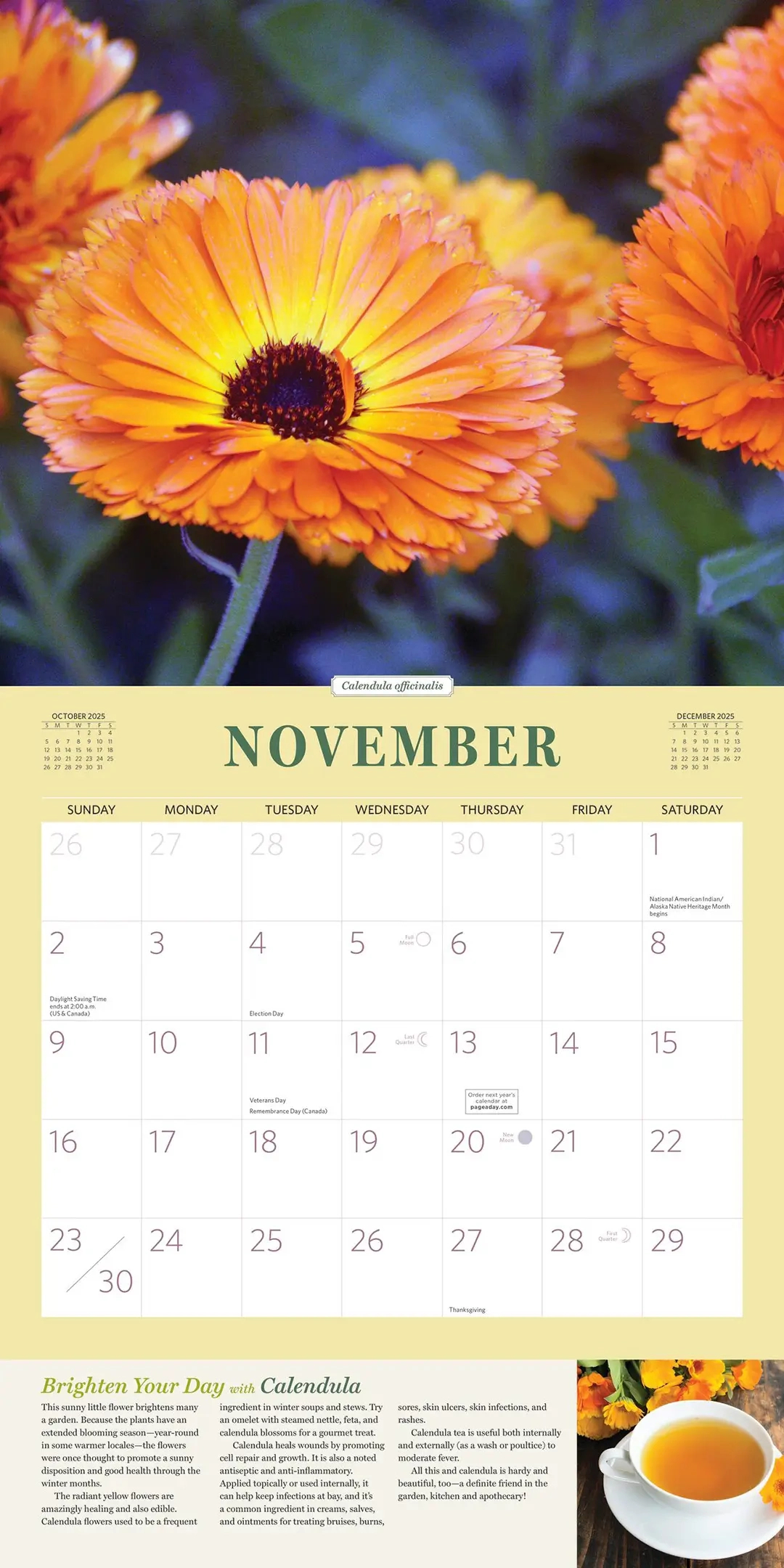 Rosemary Gladstar&amp;#039;S 2025 Herbal Calendar - The Science &amp;amp; Art Of Herbalism inside Weeds and Herbs 2025 Calendar Printable