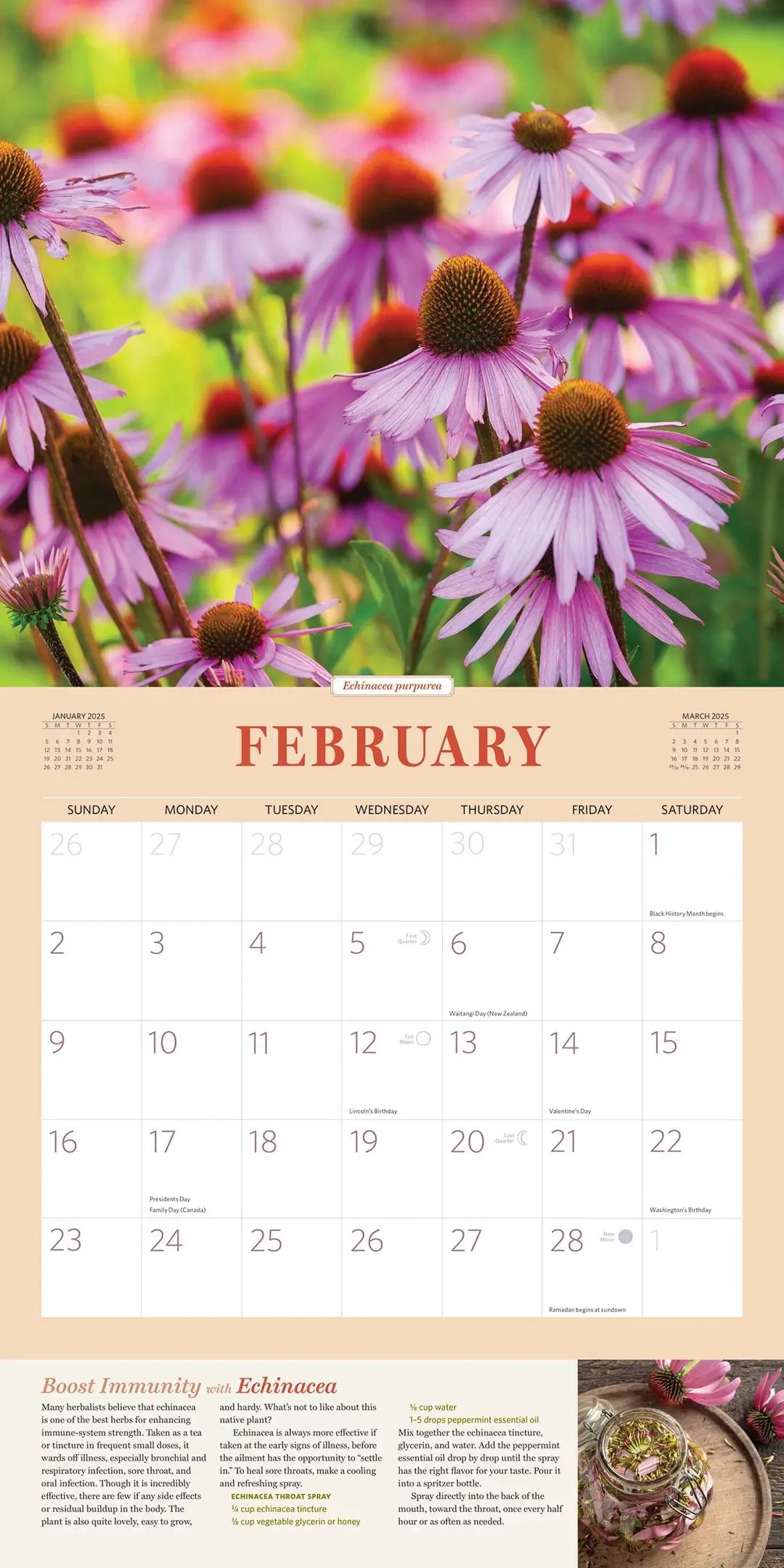 Rosemary Gladstar&amp;#039;S 2025 Herbal Calendar - The Science &amp;amp; Art Of Herbalism with Herbs 2025 Calendar Printable