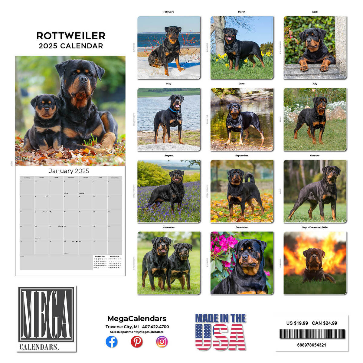 Rottweiler Dog Breed Calendar 2025 Full Size 12X24 Made In Usa | Ebay regarding Just Rottweiler Puppies 2025 Calendar Printable