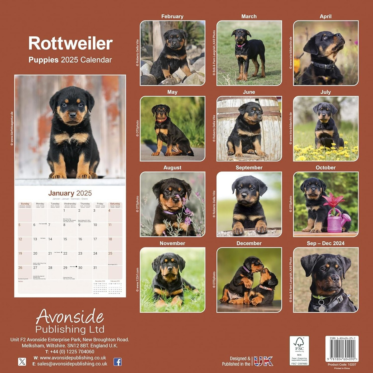Rottweiler Puppies - 2025 Calendar - Brand New - 604090 regarding Just Rottweiler Puppies 2025 Calendar Printable