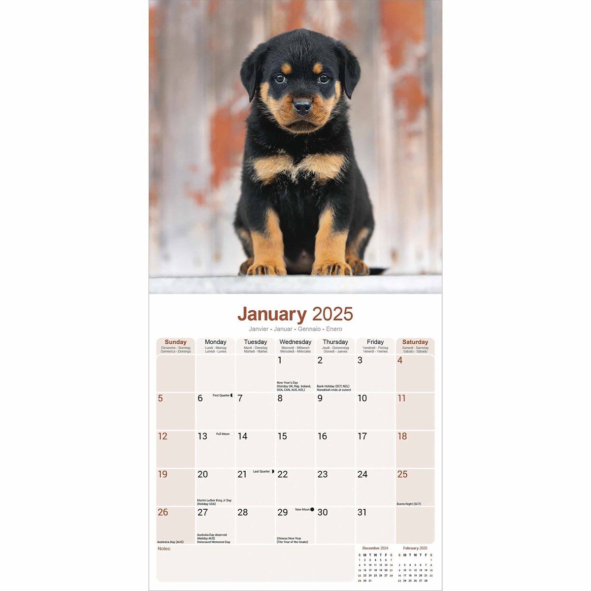 Rottweiler Puppies Calendar 2025 pertaining to Just Rottweiler Puppies 2025 Calendar Printable
