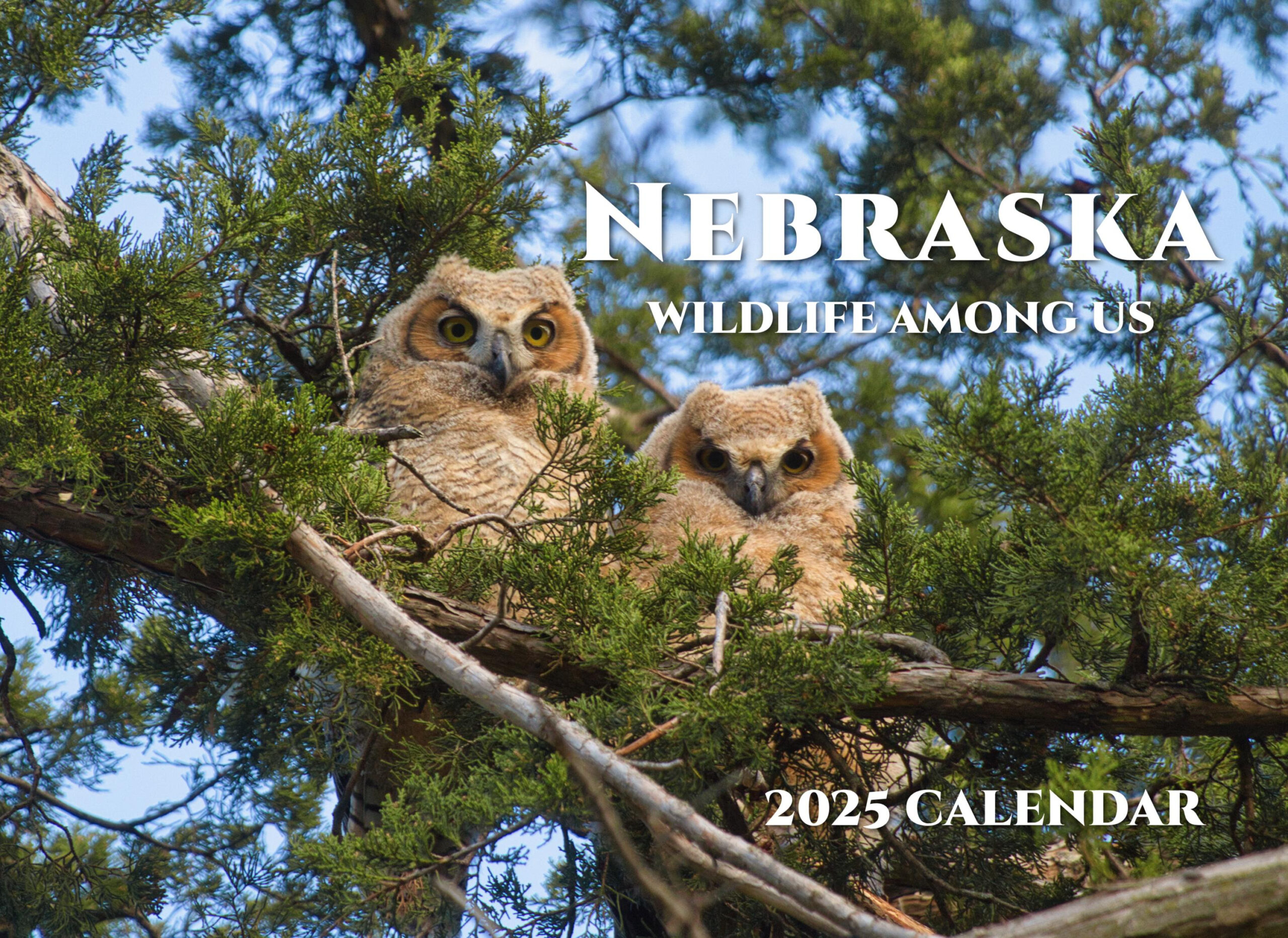 Sale**2025 Wildlife Among Us--Nebraska Spiral-Bound 12-Month Wall pertaining to Nebraska Wild and Scenic 2025 Calendar Printable