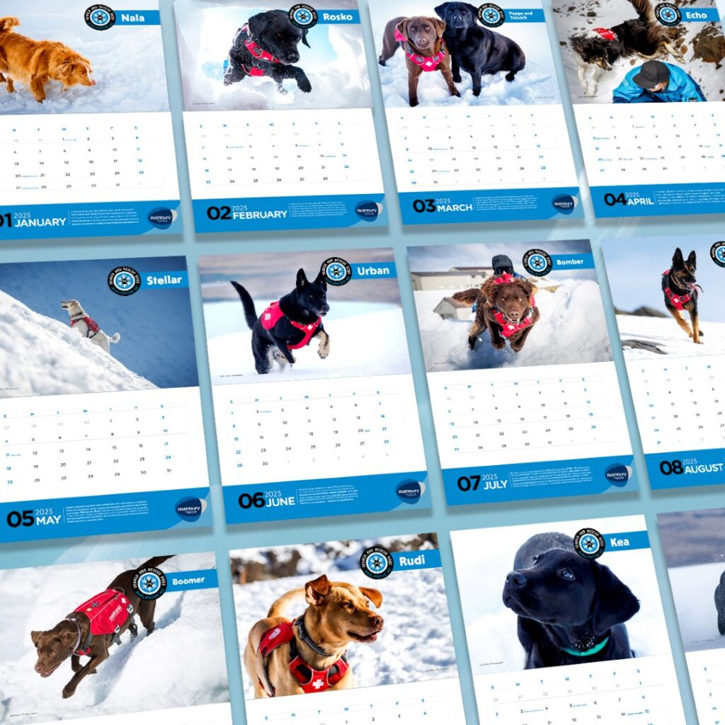 Sarda 2025 Calendar – Search And Rescue Avalanche Dogs with regard to Sporting Dogs 2025 Calendar Printable