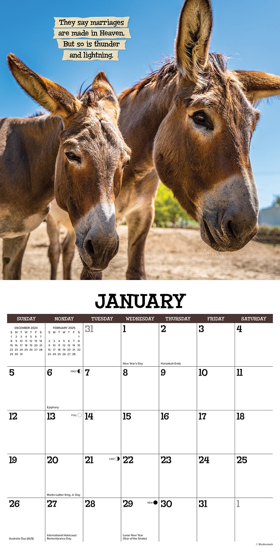 Sassy Jackassy 2025 Wall Calendar within Sassy Jackassy 2025 Calendar Printable