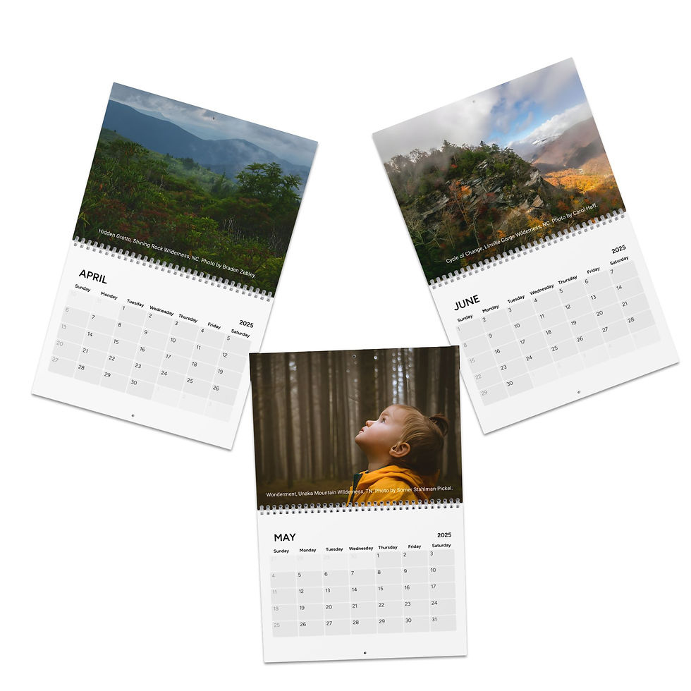 Saws Wild Calendar 2025 | Mysite for North Carolina Nature 2025 Calendar Printable
