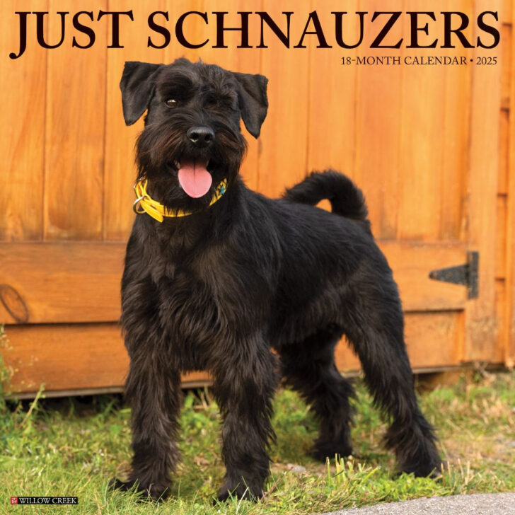 Schnauzer Puppies 2025 Calendar Printable