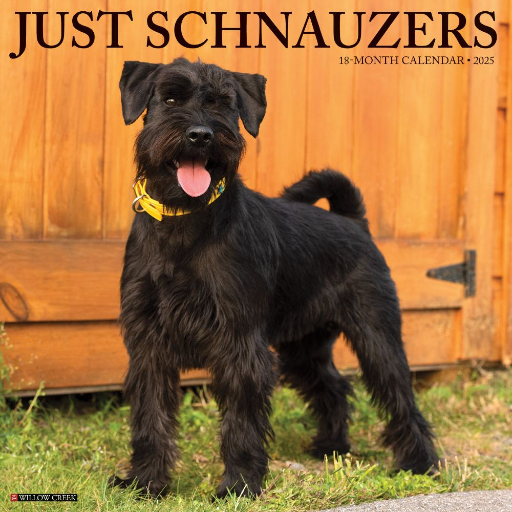 Schnauzers Puppies 2025 Wall Calendar with Schnauzer Puppies 2025 Calendar Printable