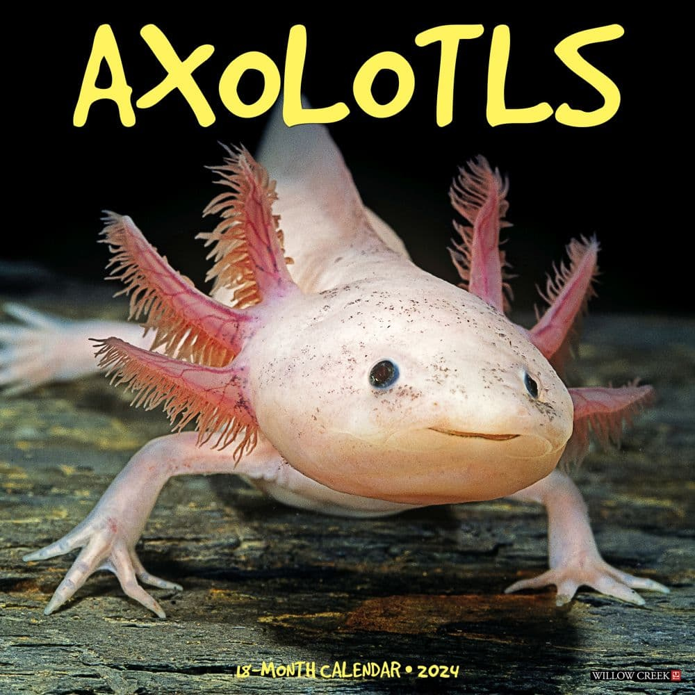 Sea Life for Axolotls WWF 2025 Calendar Printable