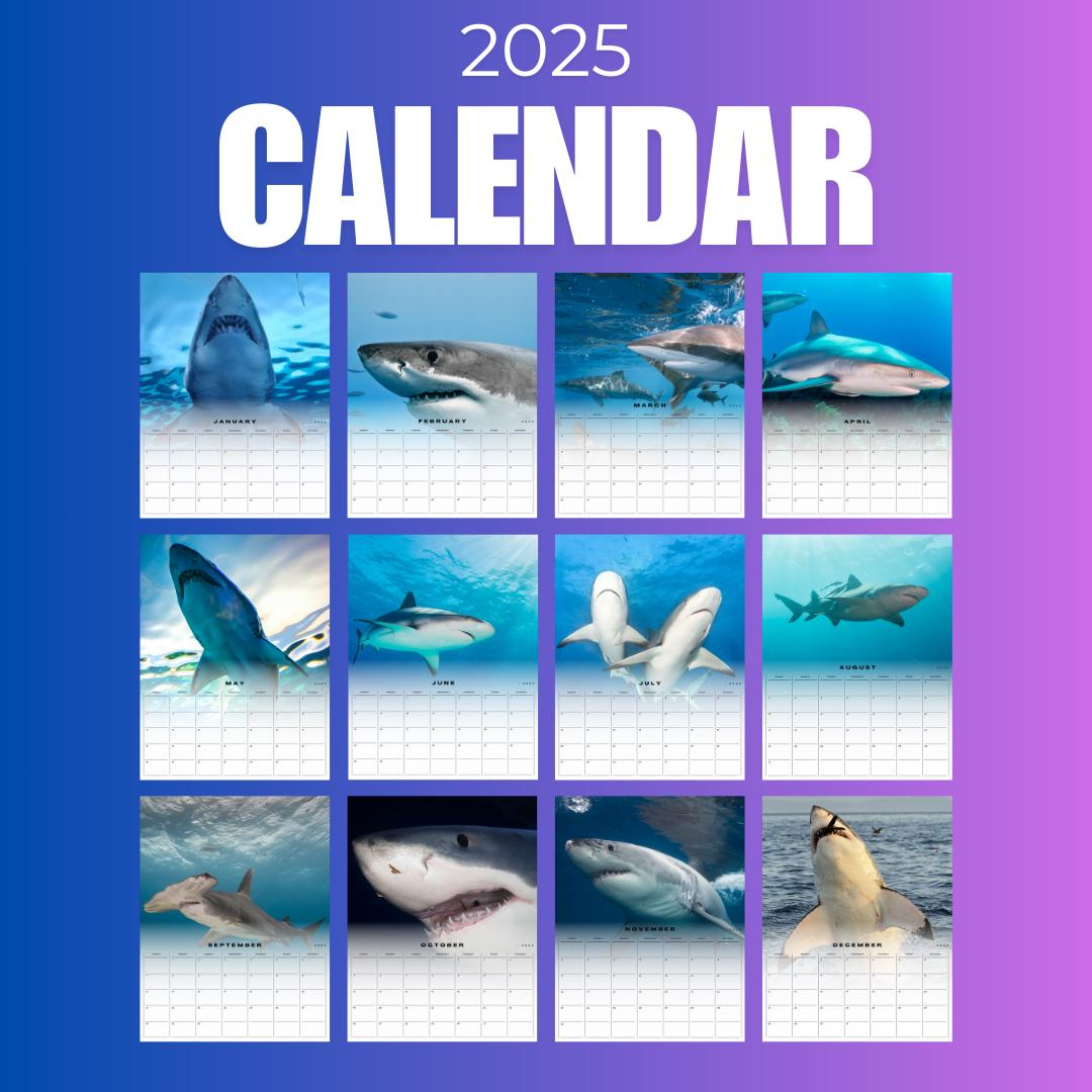 Shark Calendar 2025 - Etsy inside Sharks 2025 Calendar Printable