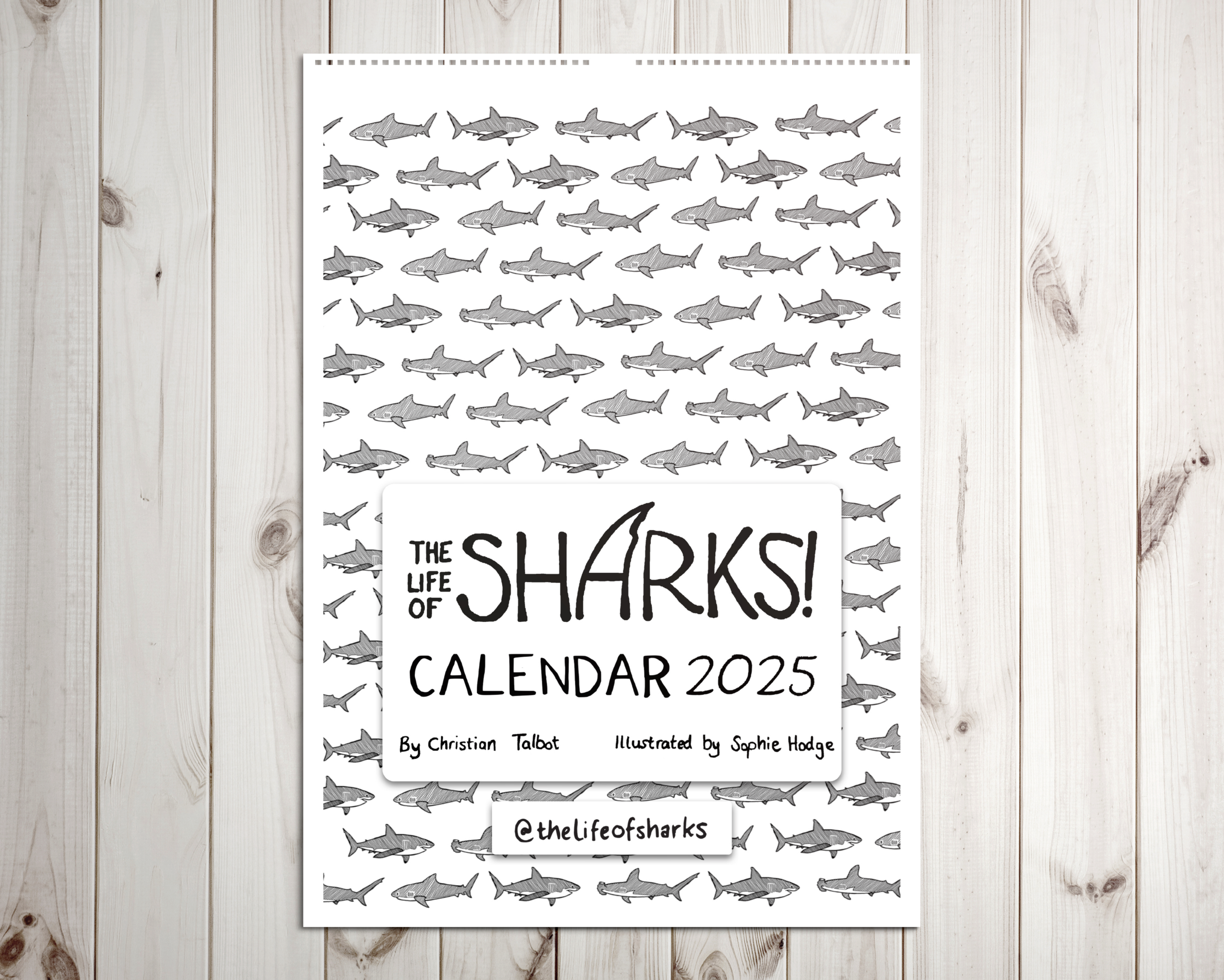 Sharks 2025 A3 Calendar with Sharks 2025 Calendar Printable