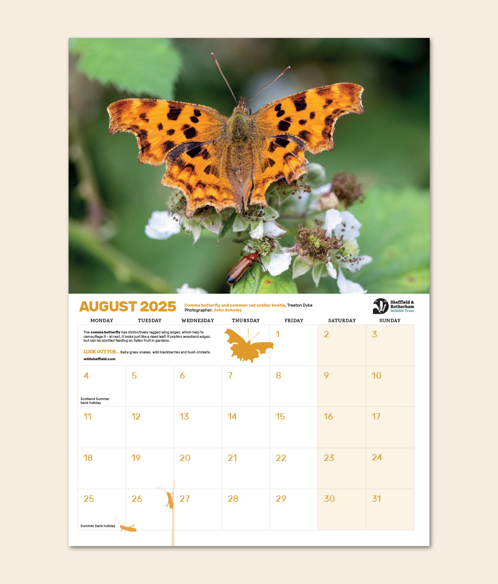 Sheffield &amp;amp; Rotherham Wildlife Trust Calendar 2025 - Sheffield with Wildlife Special Edition 2025 Calendar Printable