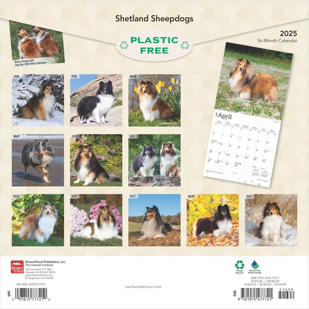 Shetland Sheepdogs Calendar 2025|Animal Den intended for Just Sheltie Puppies 2025 Calendar Printable