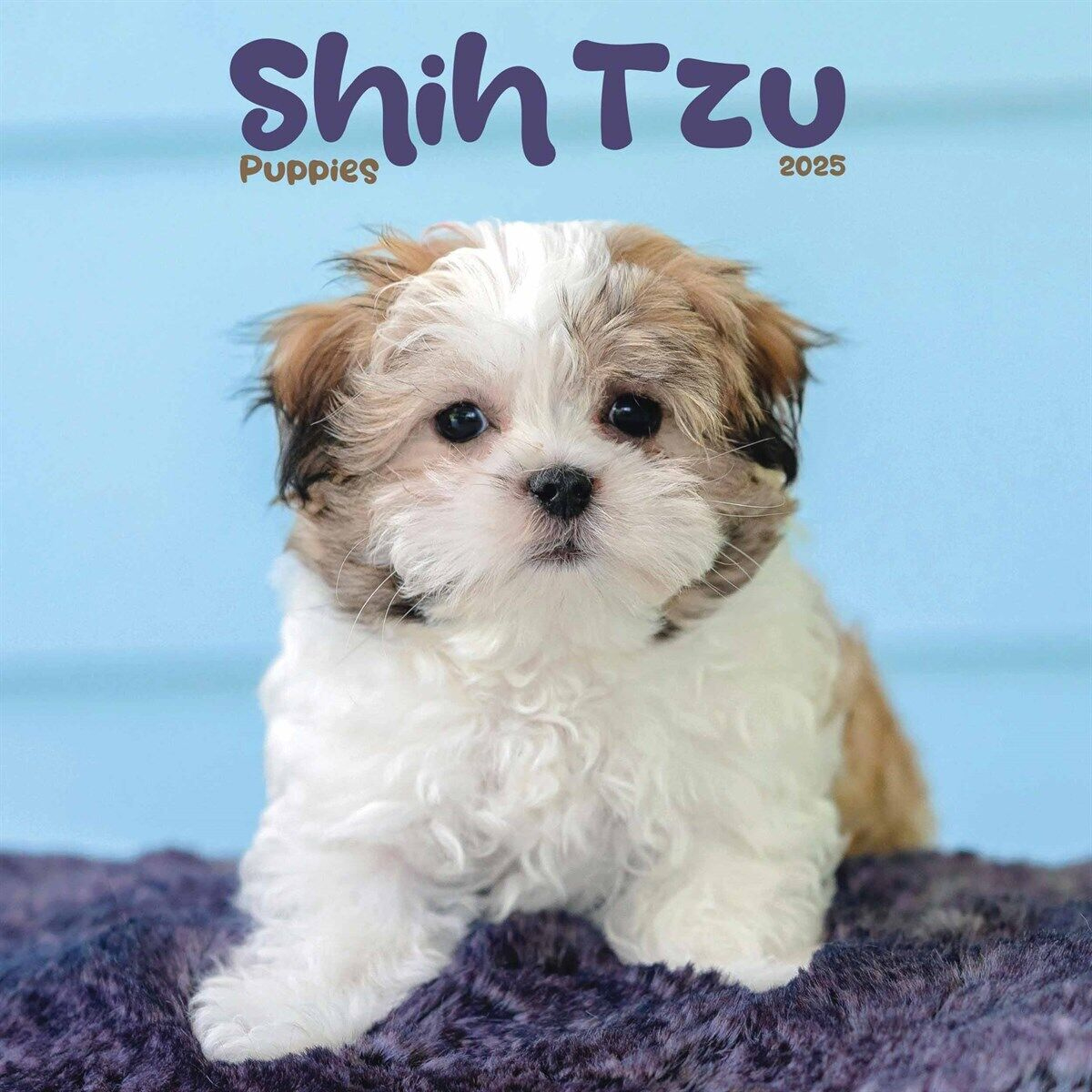 Shih Tzu Puppies Mini Calendar 2025 - Dogs - Month To View regarding Just Shih Tzu Puppies 2025 Calendar Printable
