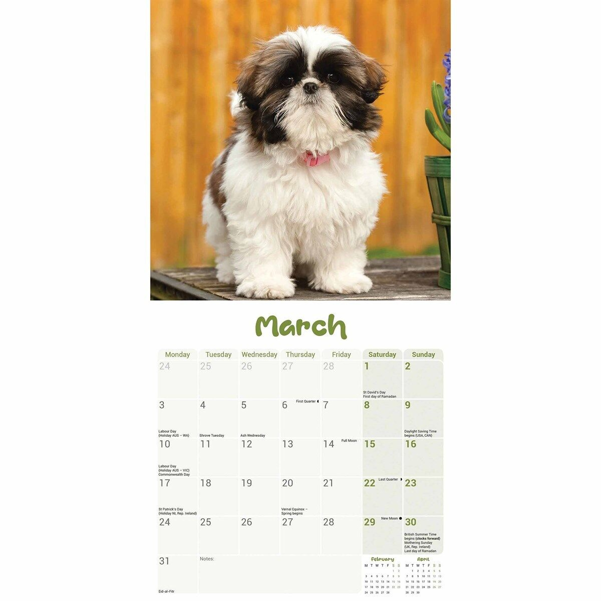 Shih Tzu Puppies Mini Calendar 2025 - Dogs - Month To View with Just Shih Tzu Puppies 2025 Calendar Printable