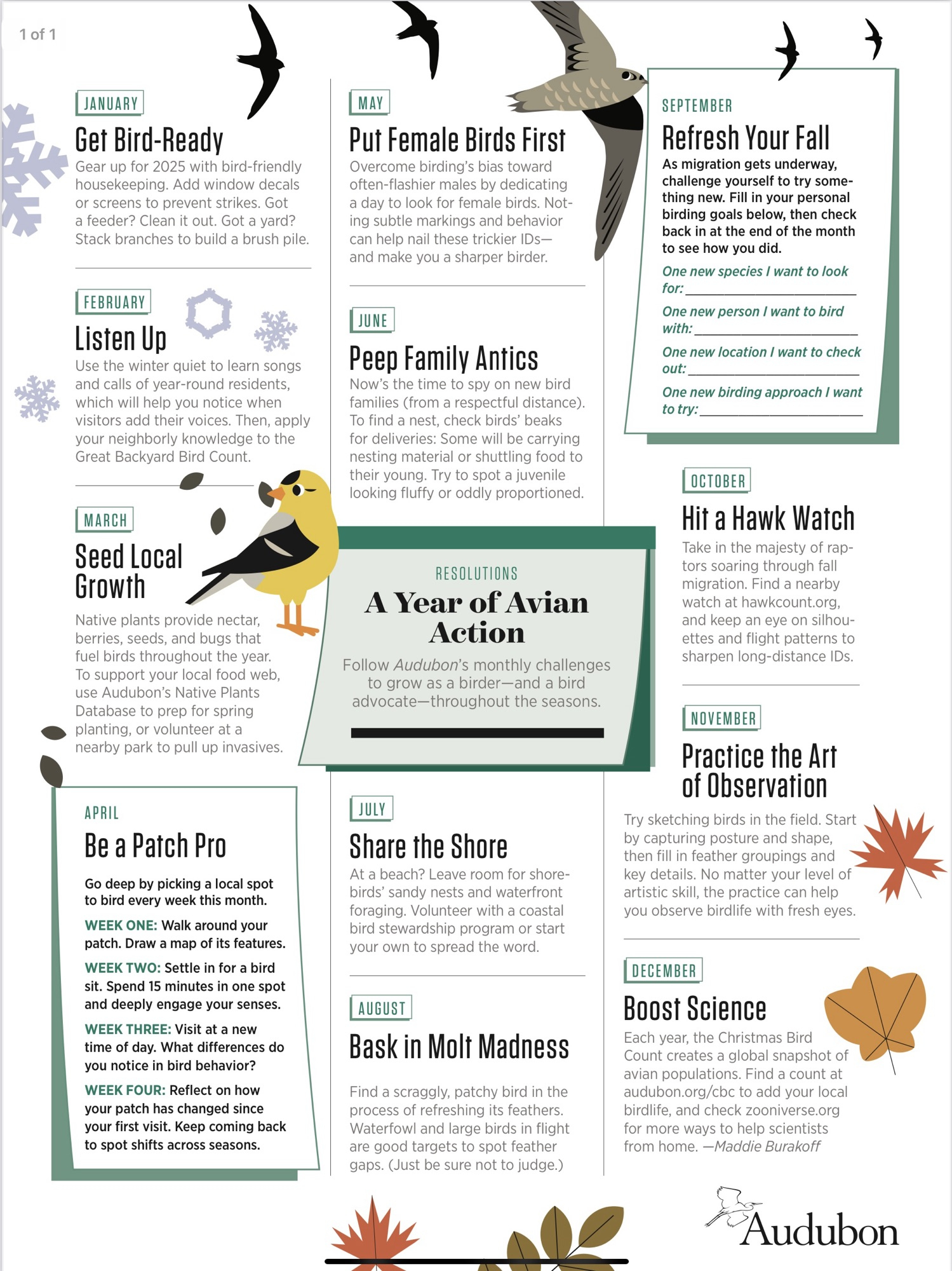 Sib Reports: 2025 Bird Challenge Calendar – Sib pertaining to Birds Backyard and Beyond 2025 Calendar Printable