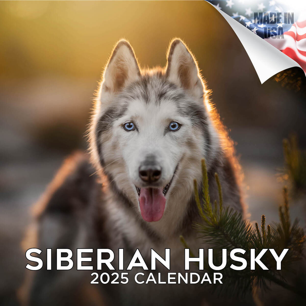 Siberian Husky Dog Breed Calendar 2025 Full Size 12X24 Made In Usa intended for Just Siberian Huskies 2025 Calendar Printable