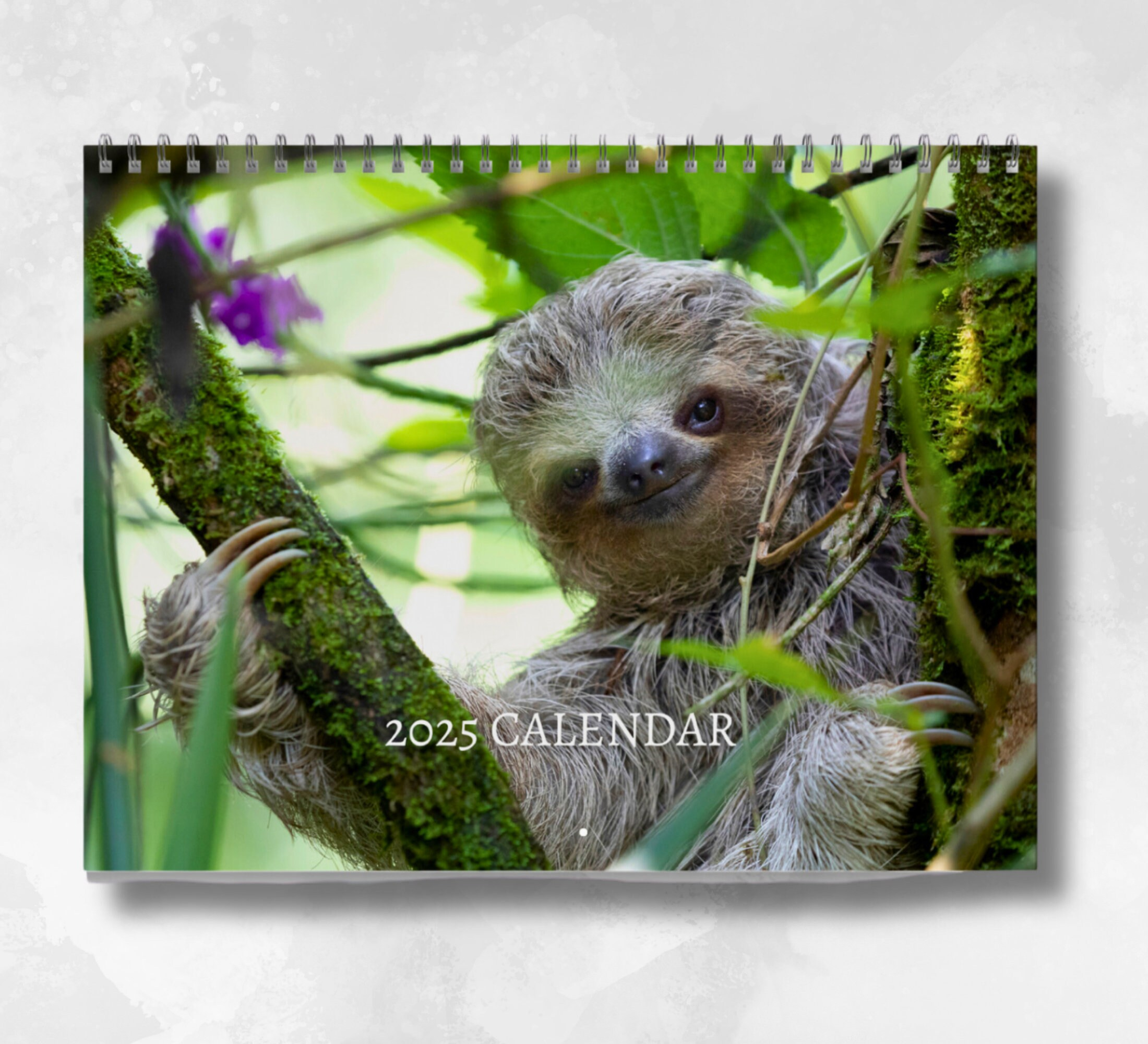 Sloth Calendar - Etsy with Sloth Yoga 2025 Calendar Printable
