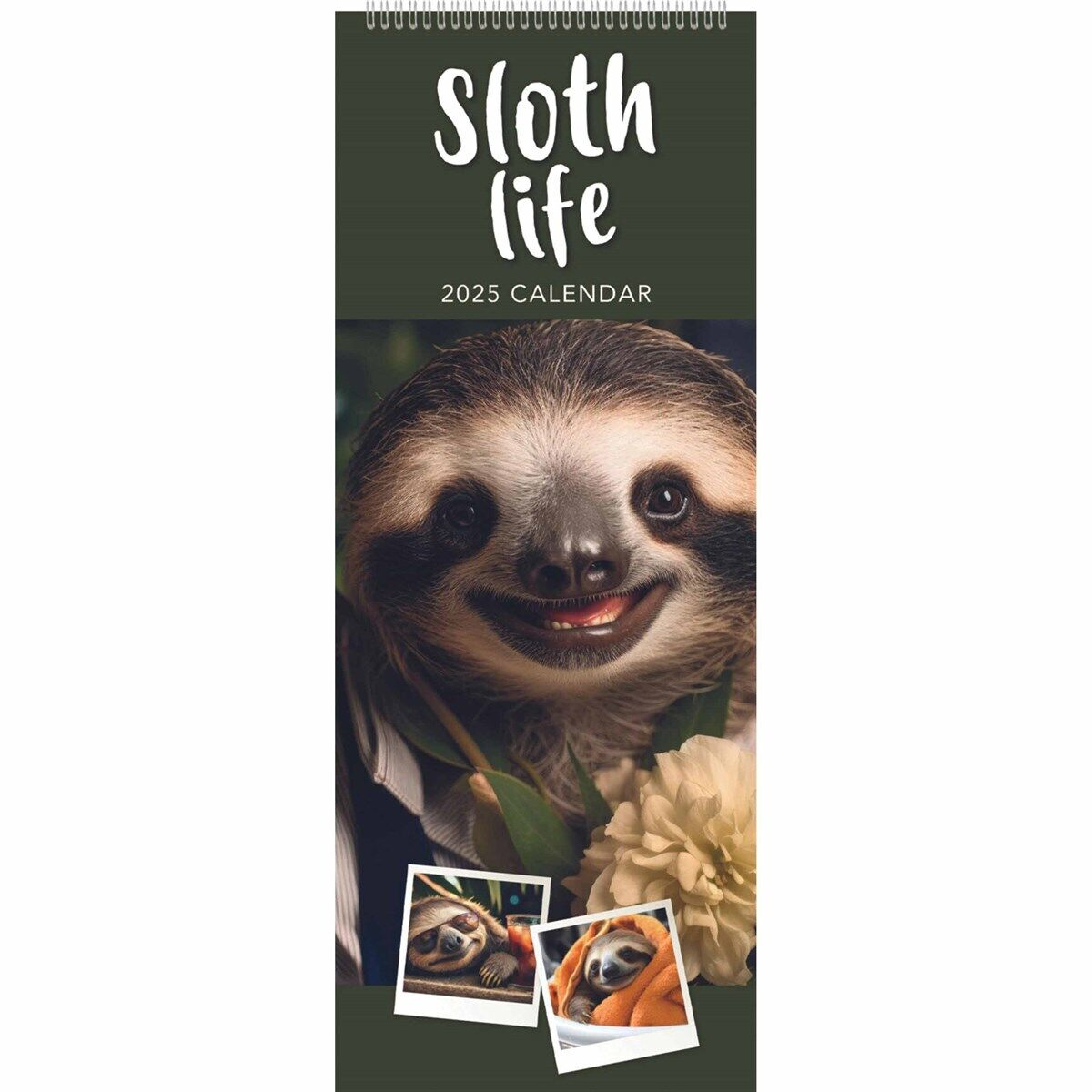 Sloth Life Slim Calendar 2025 - Humour - Month To View | Ebay inside Sloth Life 2025 Calendar Printable