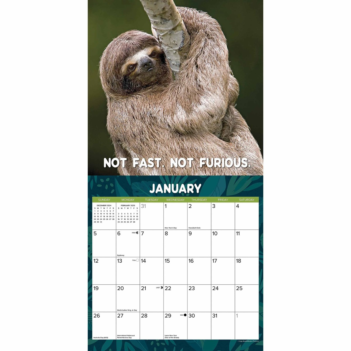 Sloth Mode Calendar 2025 pertaining to Sloth Mode 2025 Calendar Printable