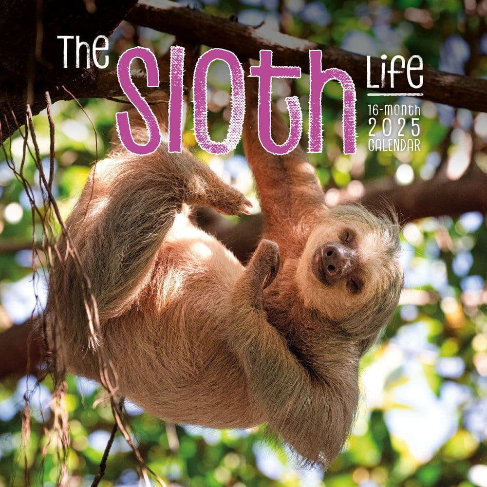 Sloth Wall Calendar throughout Sloth Life 2025 Calendar Printable