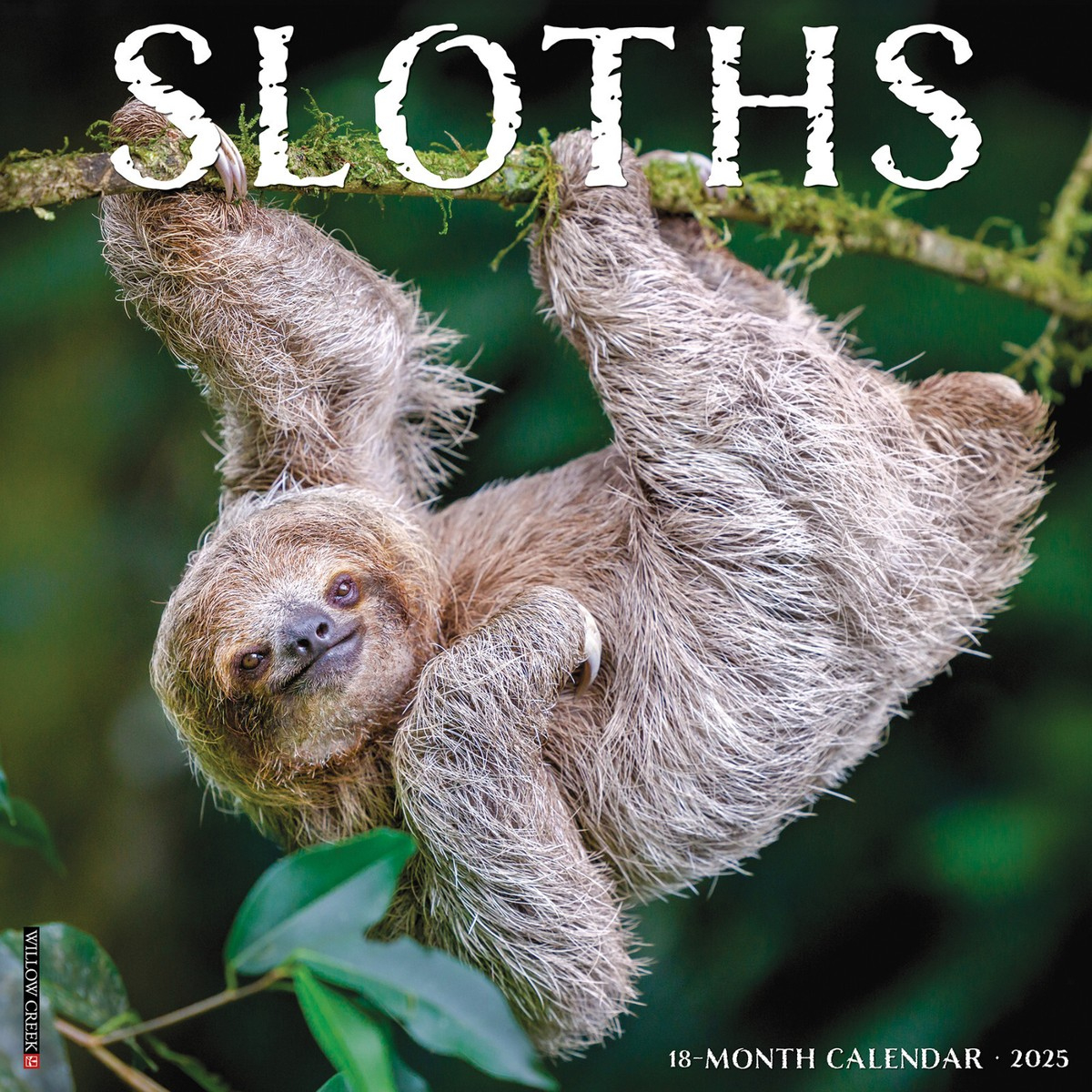 Sloths 2025 12&amp;quot; X 12&amp;quot; Wall Calendar (Free Shipping) | Ebay pertaining to Sloth Yoga 2025 Calendar Printable