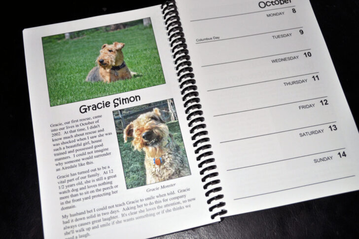 Just Airedale Terriers 2025 Calendar Printable