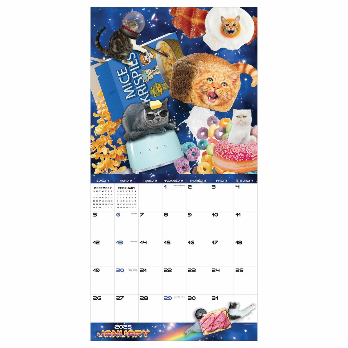Space Cats Calendar 2025 throughout Space Cats 2025 Calendar Printable