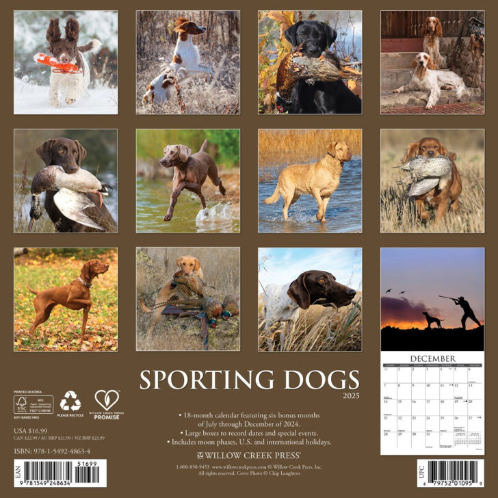 Yoga Puppies Plato 2025 Calendar Printable