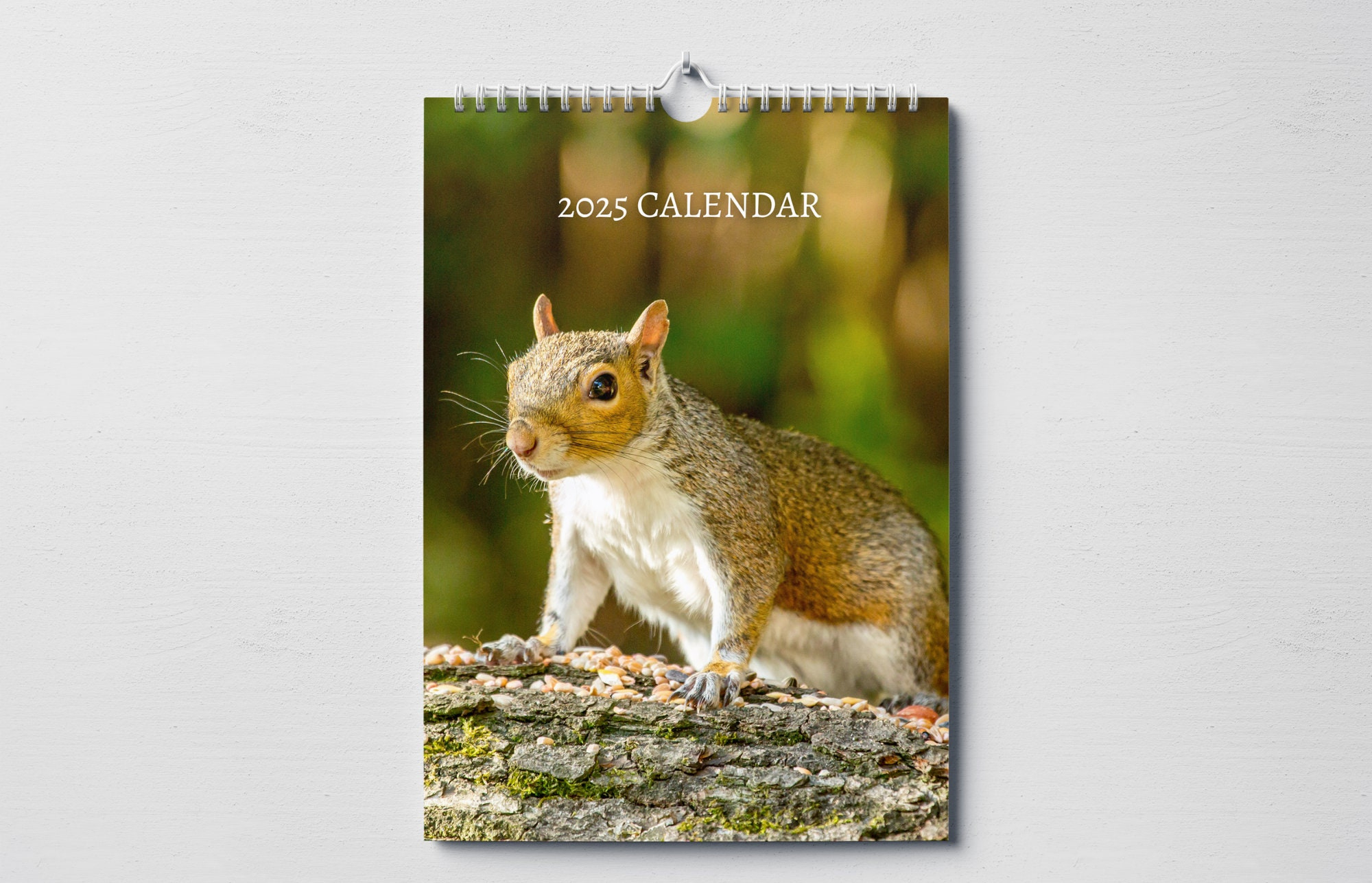 Squirrel Calendar 2025: Monthly Wall Calendar With Notes, Hanging pertaining to Squirrels 2025 Calendar Printable