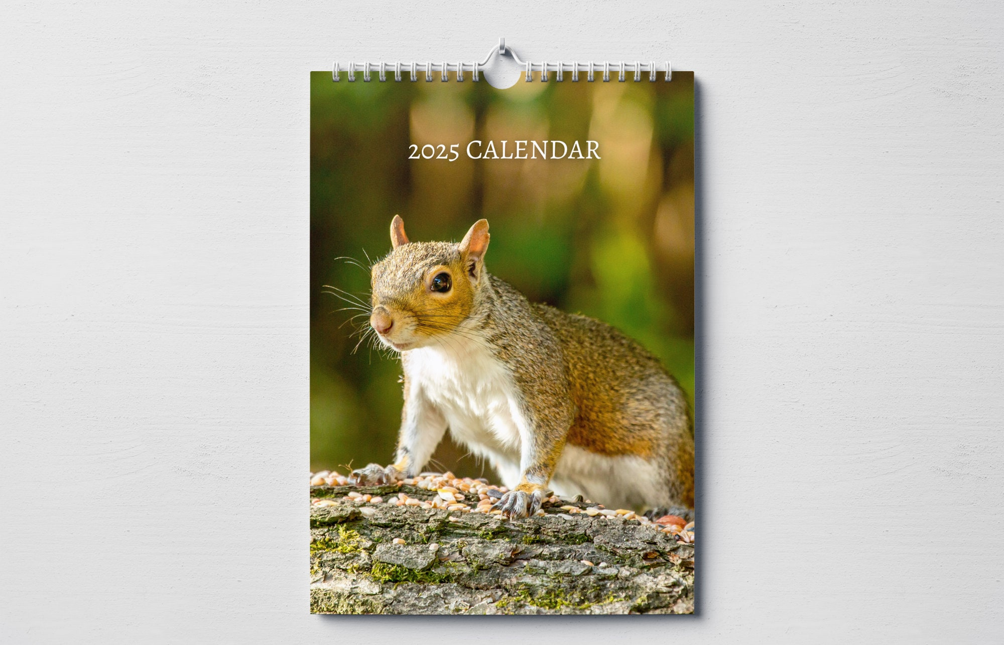 Squirrel Calendar 2025: Monthly Wall Calendar With Notes, Hanging within Gettin Squirrelly 2025 Calendar Printable