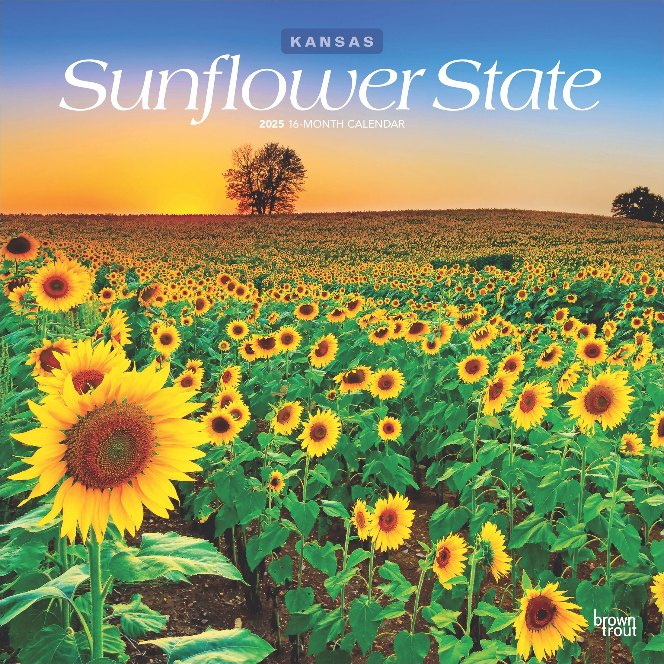 Sunflower State | Kansas Places | 2025 12X24&amp;quot; (Hanging) Wall Calendar | Browntrout within Kansas Wild and Scenic 2025 Calendar Printable