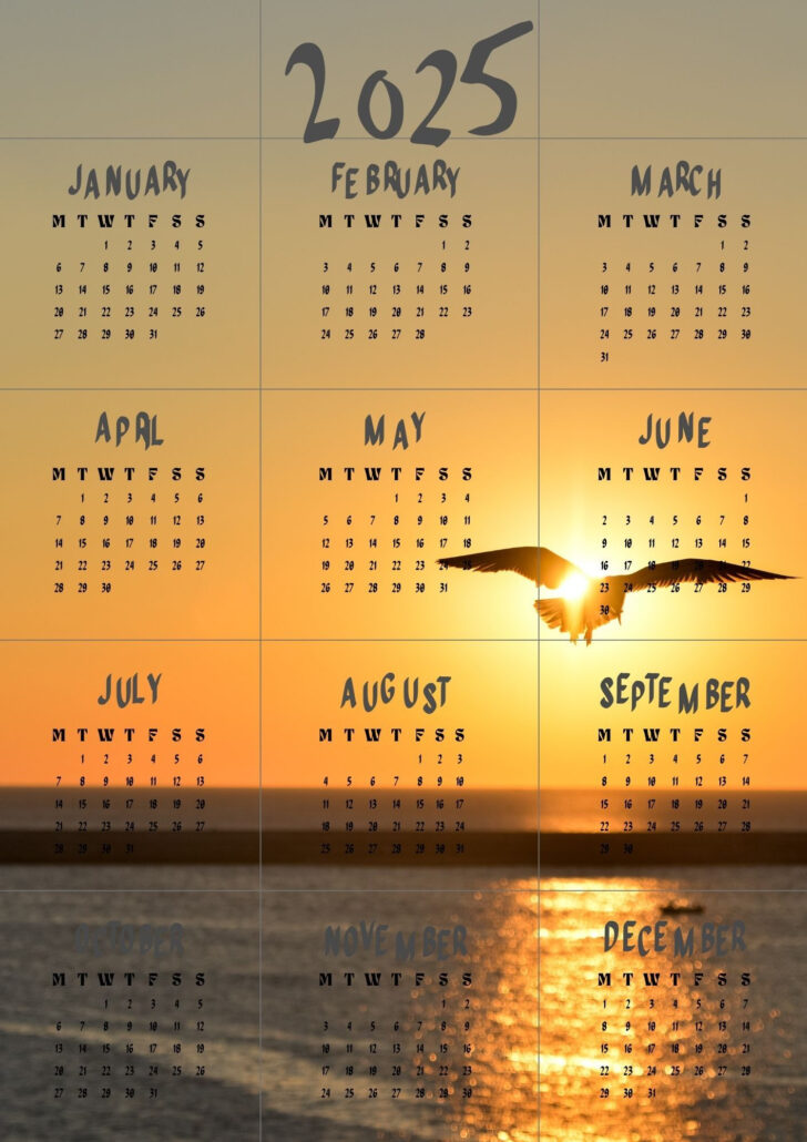 Sunrise Sunset 2025 Calendar Printable