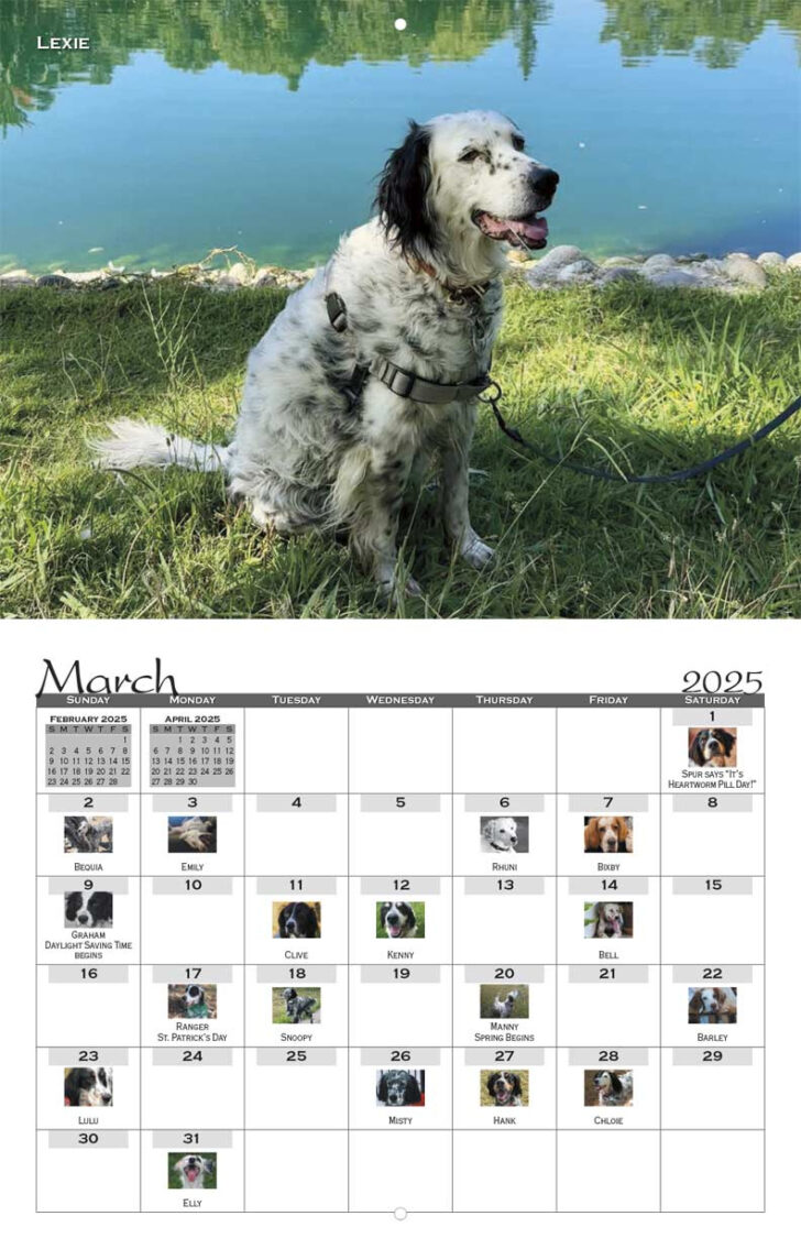 English Setters 2025 Calendar Printable