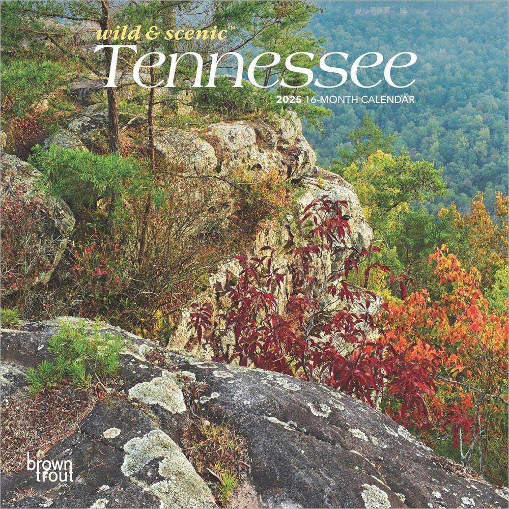 Tennessee Wild &amp;amp; Scenic | 2025 7 X 14 Inch Monthly Mini Wall in Tennessee Wild and Scenic 2025 Calendar Printable