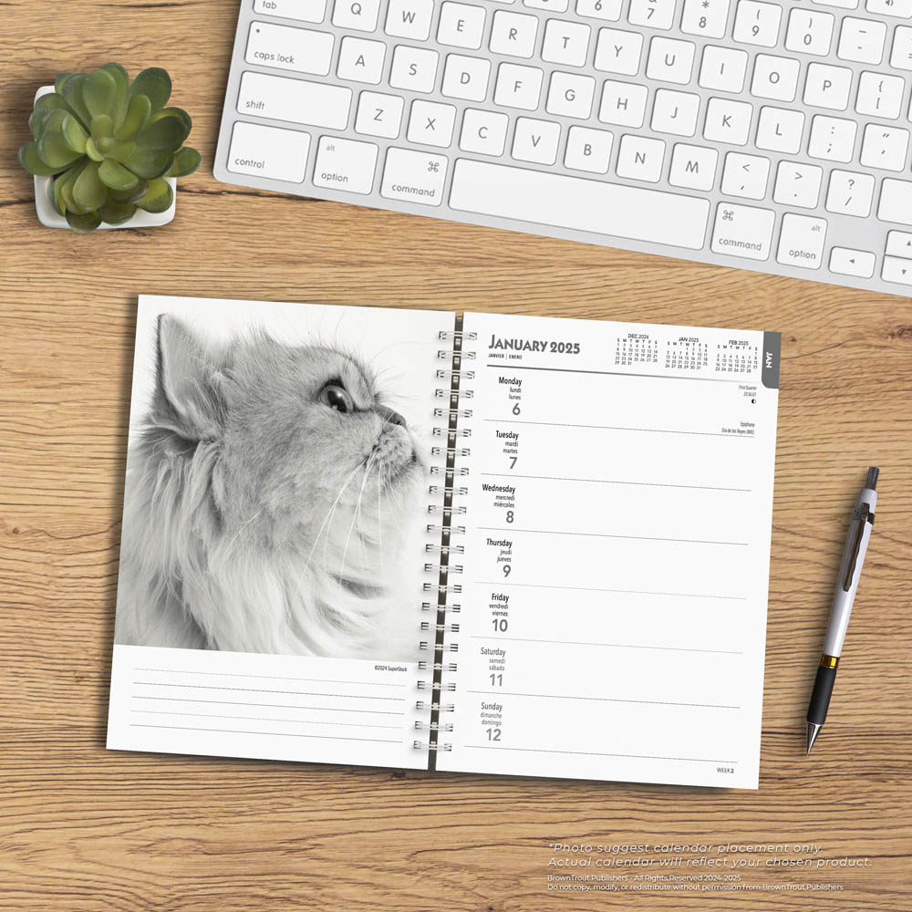 The Browntrout Portrait Series: The Regal Cat | 2025 6 X 7.75 Inch intended for Regal Cats Portrait Series 2025 Calendar Printable