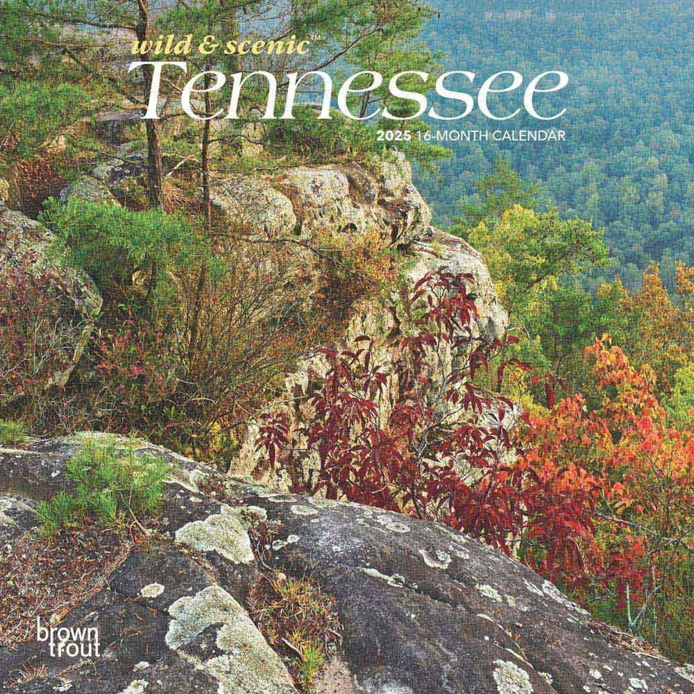 The Natural State | Arkansas Places | 2025 12X24&amp;quot; Wall Calendar within Arkansas Wild And Scenic 2025 Calendar Printable
