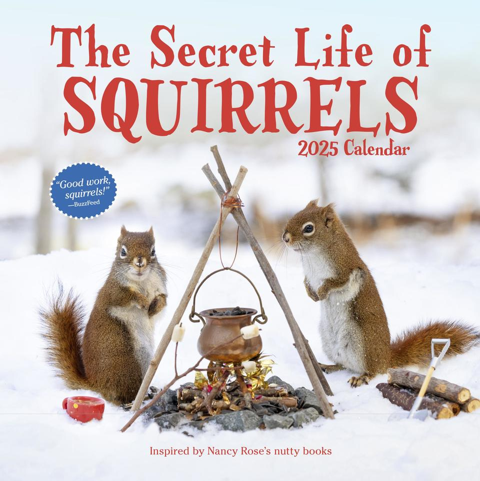 The Secret Life Of Squirrels Wall Calendar 2025 · Books · 49Th Shelf pertaining to Squirrels 2025 Calendar Printable