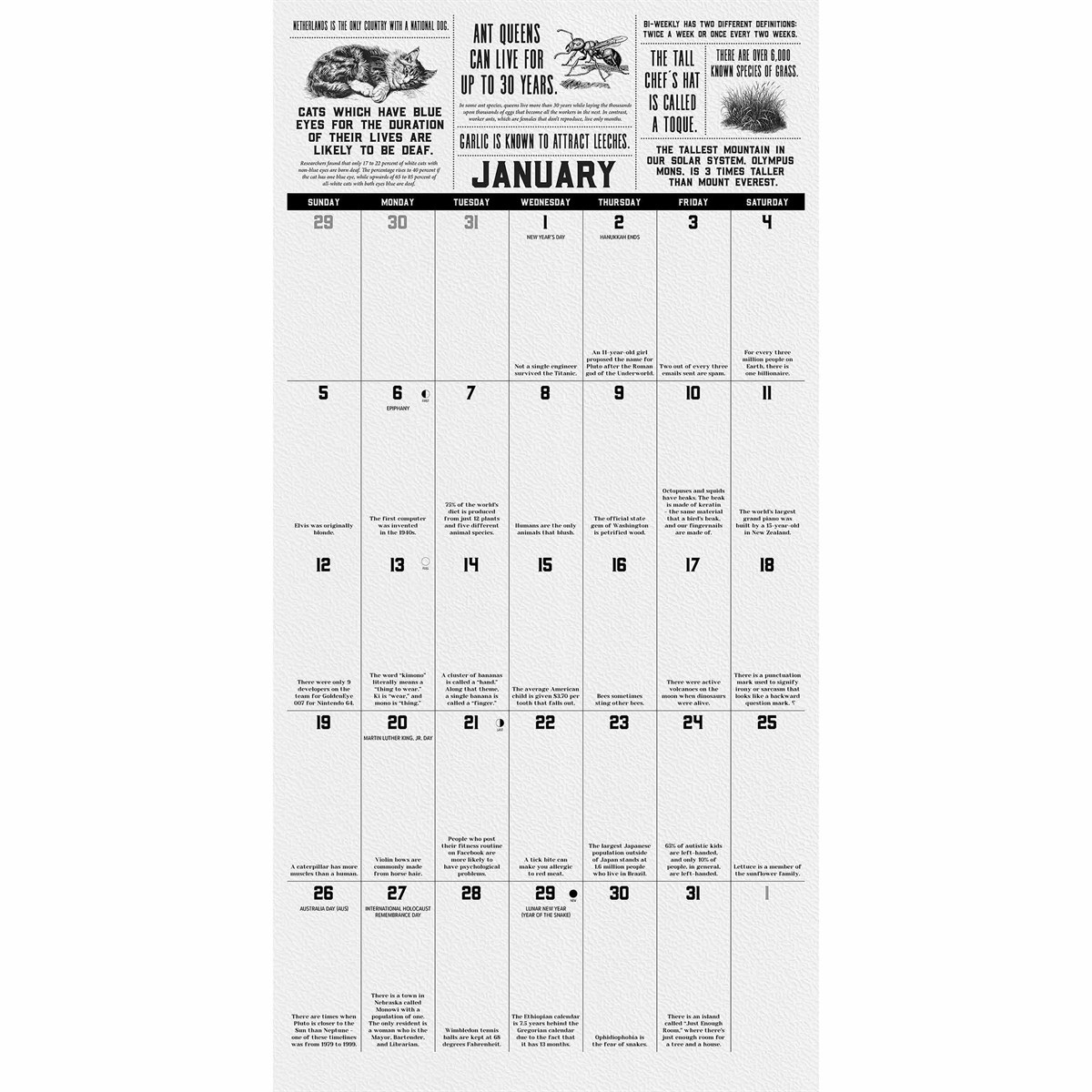 Today I Learned Calendar 2025 throughout Today I Learned 2025 Calendar Printable