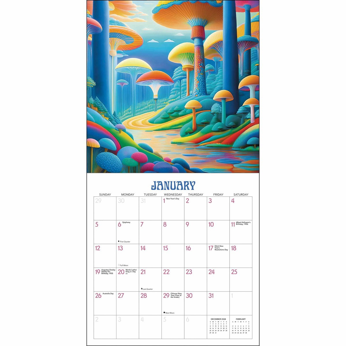 Trippy Shrooms Calendar 2025 for Mushrooms Viazmensky 2025 Calendar Printable