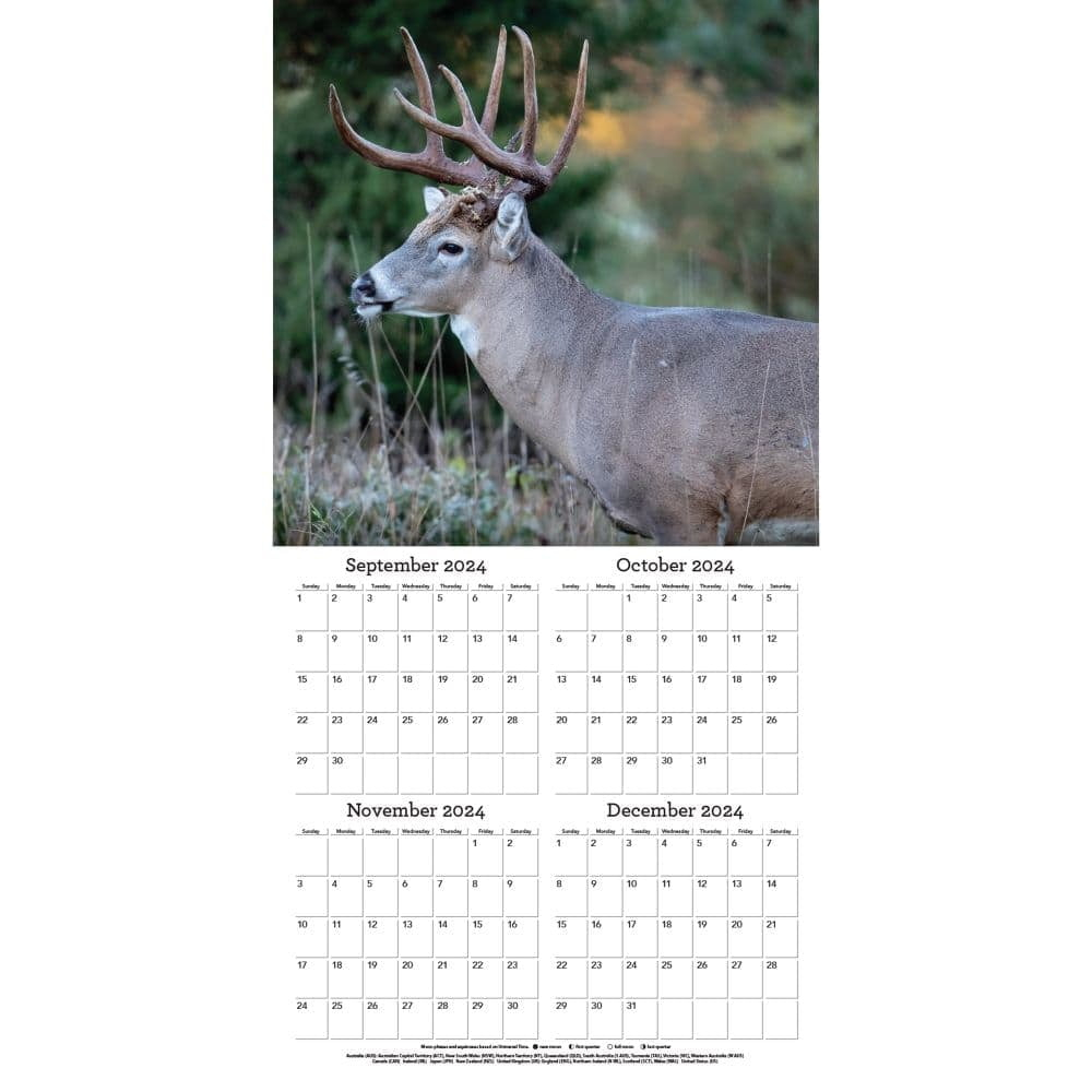 Turner Licensing, White Tailed Deer 2025 Wall Calendar within Realtree Hidden Hunter 2025 Calendar Printable