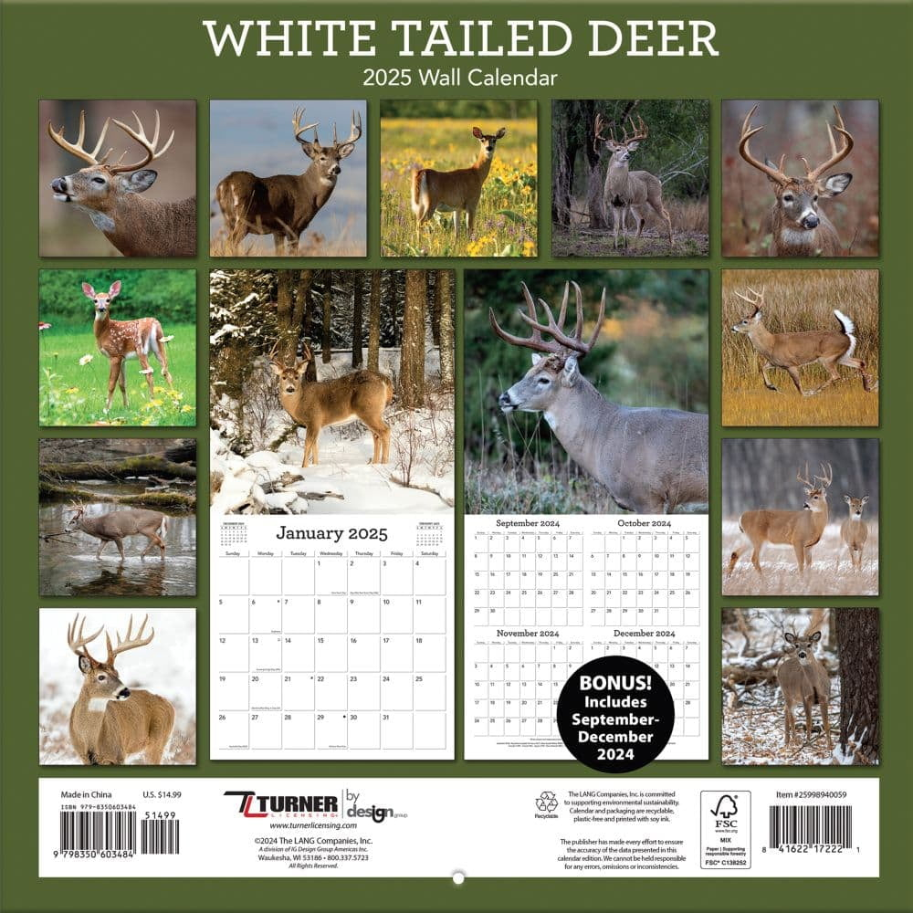 Turner Licensing, White Tailed Deer 2025 Wall Calendar within Realtree Hidden Hunter 2025 Calendar Printable