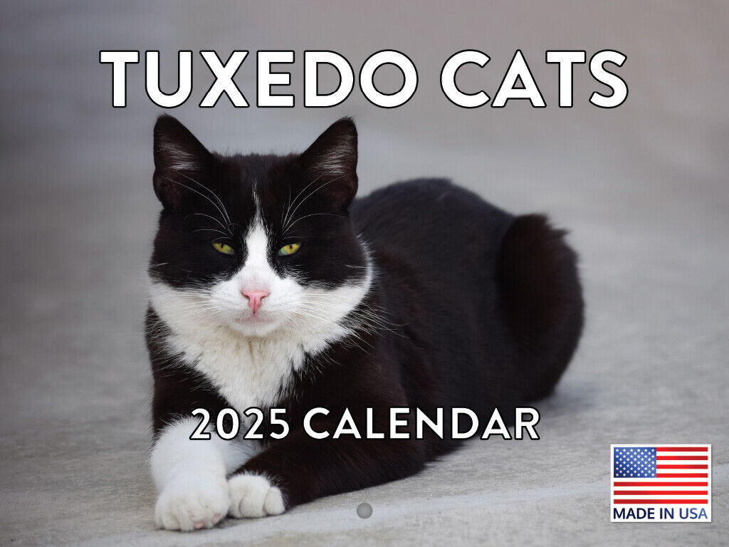 Tuxedo Cat Calendar 2025 Monthly Wall Calender 12 Month inside Tuxedo Cats 2025 Calendar Printable