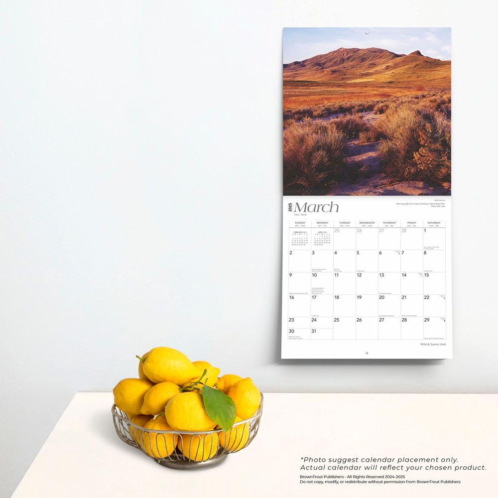 Utah Wild &amp;amp; Scenic | 2025 12 X 24 Inch Monthly Square Wall for Utah Wild and Scenic 2025 Calendar Printable